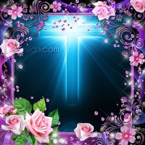 Meet your Posher, Bonnie